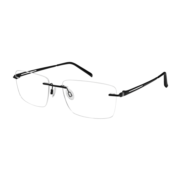 Charmant titanium hot sale eyeglasses